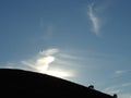 The silhouette of the cow high on the sunny hill