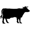 Silhouette of a cow. Royalty Free Stock Photo