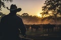 Silhouette of a Cowboy in American Ranch with Cows