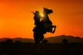 Silhouette Cowboy holding short gun and riding a horse