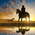 Silhouette cowboy with horse