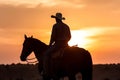 Silhouette Of A Cowboy On A Horse At Sunset, Neural Network Generated Photorealistic Image