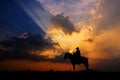 The silhouette of a cowboy on horseback at sunset on background