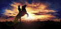 Silhouette of cowboy rearing his horse at sunset Royalty Free Stock Photo