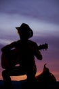 Silhouette of a cowboy sitting on a saddle playing a guitar