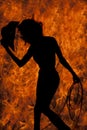 Silhouette cowgirl hold hat and rope