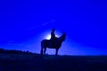 Silhouette cowgirl on horse at sunset in blue 3