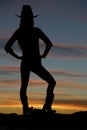 Silhouette of cowgirl overlooking a valley at sunset