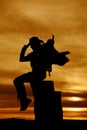 Silhouette of cowgirl with saddle on her shoulder sitting lookin Royalty Free Stock Photo