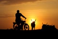 Silhouette of cowherd on motorcycle and heard of cow