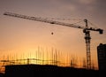 Silhouette crane in building construction site on sunset background Royalty Free Stock Photo