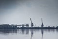 Silhouette of cranes and buildings