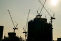 silhouette of cranes at sunset, digital photo picture as a background