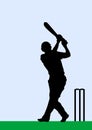 Silhouette of a Cricket Batsman