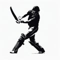 Silhouette Cricket Player Batting Ball Graphic Art