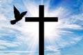 Silhouette of a cross and dove Royalty Free Stock Photo
