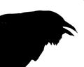 Silhouette of Crow Head