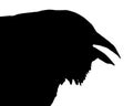 Silhouette of Crow Head