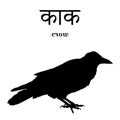 Silhouette of a crow with an inscription in Sanskrit and in English. Isolated. Vector illustration
