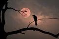 Silhouette of a crow perched on a branch of a leafless tree in full moon night Royalty Free Stock Photo