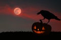 The silhouette of a crow stands on a yellow pumpkin carved into the face of a devil.