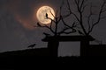 Silhouette of crows perched on trees and old archway in full moon night