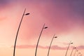 Silhouette of curved street lights during dramatic sunset pink sky