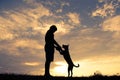 Fresh little plant growing up on soil Silhouette cute boy and dog playing at sky sunset