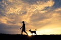 Silhouette cute boy and dog playing at sky sunset