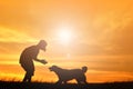 Silhouette cute girl and dog