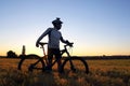 Silhouette of a cyclist with a Bicycle in a field at sunset Royalty Free Stock Photo