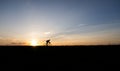 Silhouette of cyclist in motion on the background of beautiful sunset. Male ride bicycle in sun set. Silhouette of man Royalty Free Stock Photo