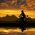 Silhouette of the cyclist