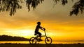 Silhouette cyclist at sunset