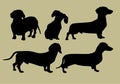 Silhouette of dachshund Royalty Free Stock Photo