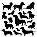 Silhouette of a Dachshund. Black silhouette of a dog, set of illustrations on a white