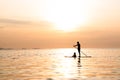 Silhouette of dad and son playing the stand-up paddle board on the sea with beautiful summer sunset colors. Happy family concept Royalty Free Stock Photo