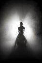 Silhouette dancer performing dance figures. Royalty Free Stock Photo