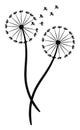 Pair of a dandelion silhouette vector or color illustration