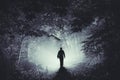 Silhouette in dark forest at night Royalty Free Stock Photo