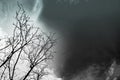 Silhouette dead tree on dark dramatic sky background for scary o Royalty Free Stock Photo