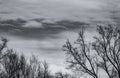 Silhouette dead tree on dark dramatic sky and white clouds background for death and peace. Halloween day background. Despair and Royalty Free Stock Photo