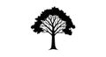 Silhouette of a deciduous tree with a sturdy trunk and symmetrical branching pattern. The canopy Royalty Free Stock Photo