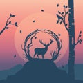 Silhouette deer on the cliff with sunset