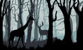 Silhouette of deer, doe standing on meadow in forrest Royalty Free Stock Photo