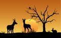 Silhouette of deer, hare and bird at sunset Royalty Free Stock Photo