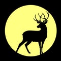 Silhouette of a deer. A horned beast from the forest