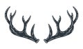 Silhouette of deer horns hunting and camping Royalty Free Stock Photo