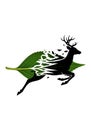 Silhouette of a deer seamlessly blending with a green leaf on a white background. The Royalty Free Stock Photo