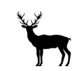 Silhouette Deer, Stag, Reindeer Isolated on White Background